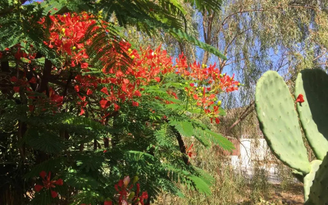 Vereda de Las Camellas