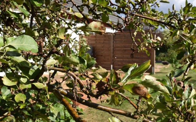 Spacious Holiday Home in Borgerende-Rethwisch with Terrace