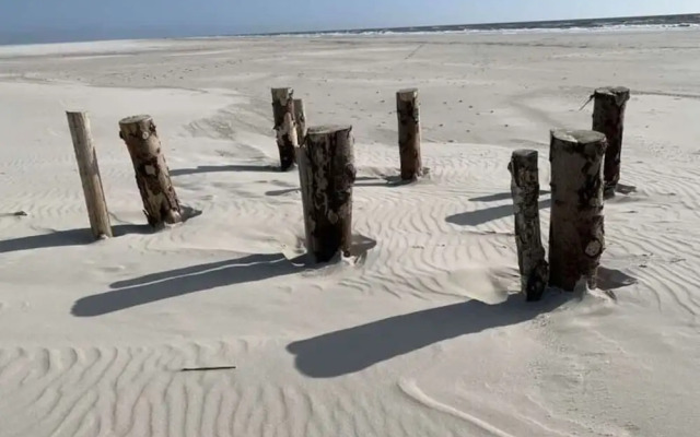 "lee" in House Smaswai 10