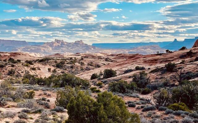Entrada at Moab 664