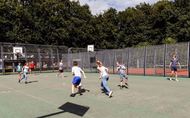 Detached Bungalow With Fireplace, in Appelscha