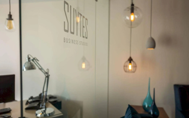 SUYTES Business Studios