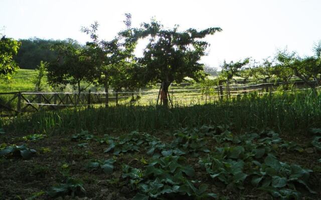 Azienda Agrituristica Colle San Giorgio