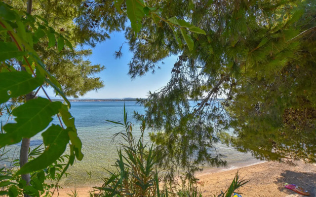 Apartments Studenac in Tkon - island Pasman