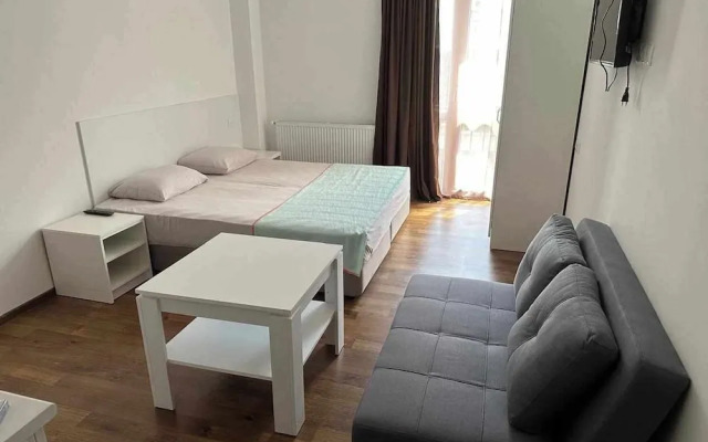 Bakuriani Apartment Studio