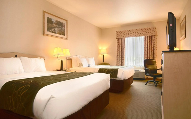 Comfort Inn & Suites Airport
