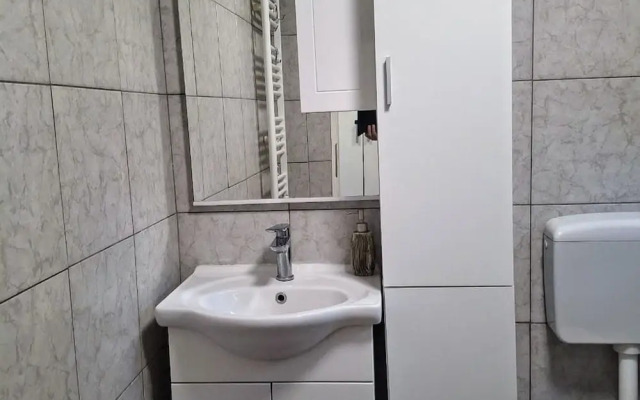 Apartments Boris Donji Karin