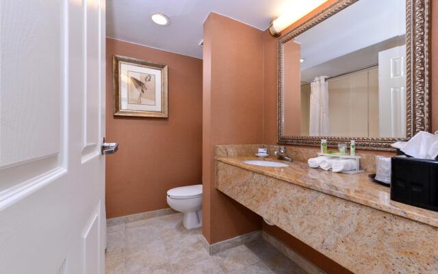 Holiday Inn Express Clearwater East - Icot Center by IHG