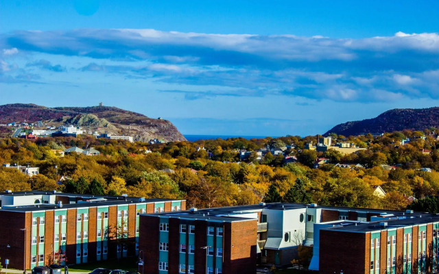 Memorial University