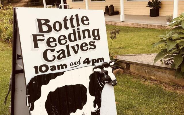 Bodalla Dairy Shed Guest Rooms