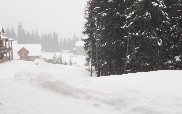 Silver Bullet 102 1 Bedroom Condo