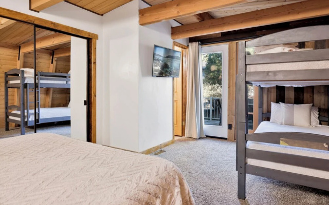 Fox & Bears Retreat#2190