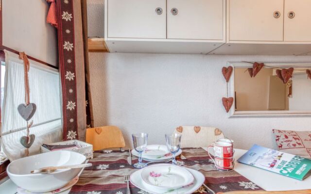 Vostok Zodiaque 17256