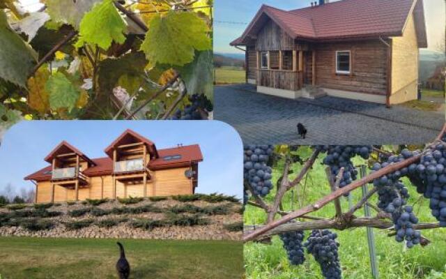 Fantastic View Apartments Beskid Mountains