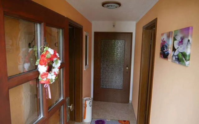 Beautiful Apartment in Pohla Saxony near Ski Area