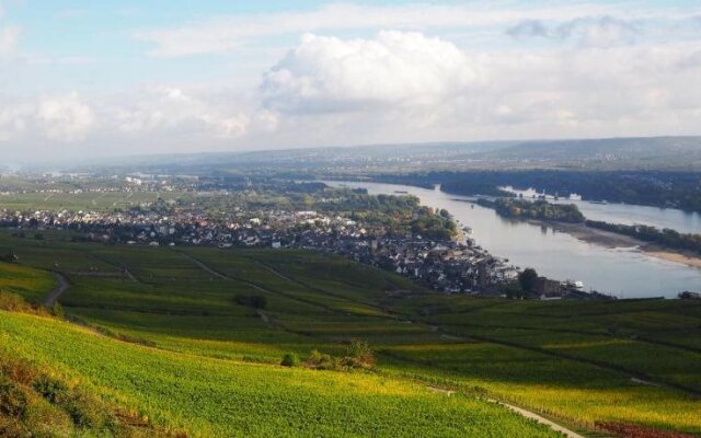 Gasthaus Weingut Stahl