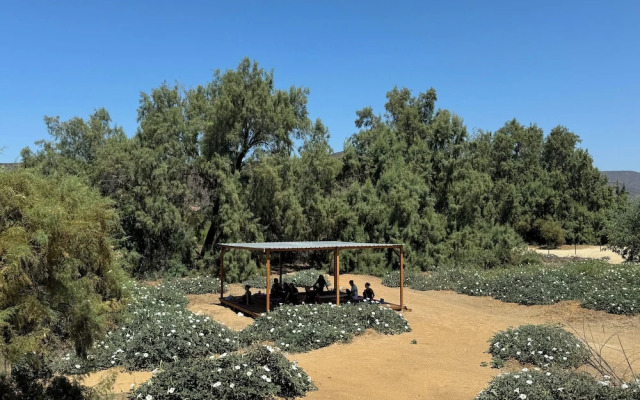 Rancho Dominique Valle de Guadalupe