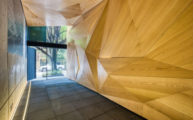 Boga Mexico City By Lumina