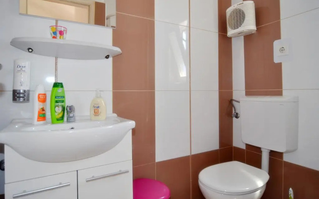 Apartments and Rooms Anika