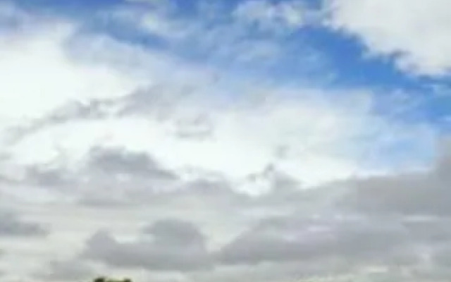 Il Richiamo Del Bosco Bed & Breakfast