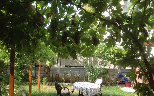 Bayindir Palme