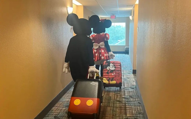 Free Shuttle 2 Queen Disney Area
