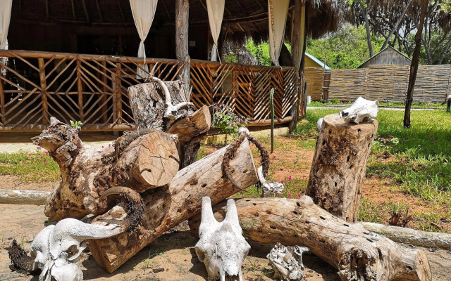 Africa Safari Selous
