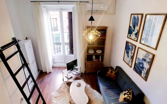 Apartamentos MLR Lavapiés