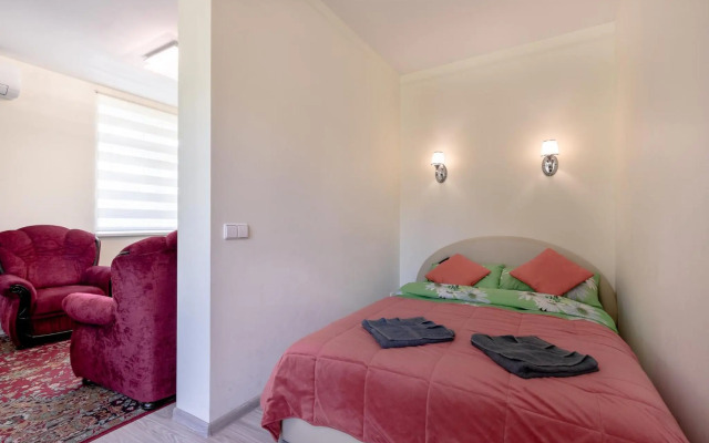 Basanavičiaus street apartaments with view No 1