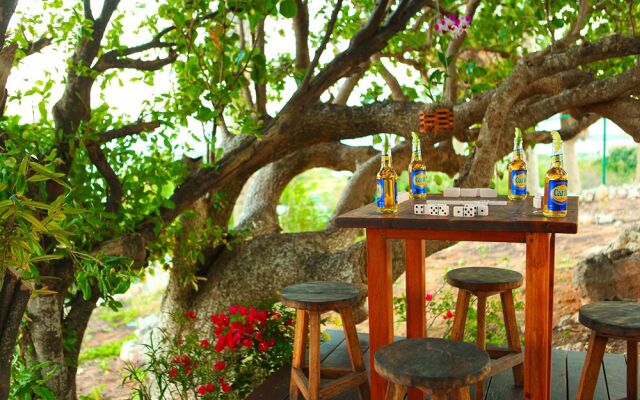 Anguilla's Bird of Paradise