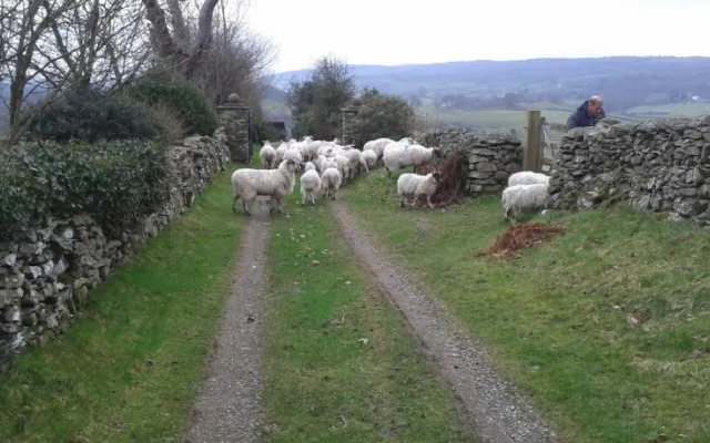 The Lodge at High Gregg Hall Farm
