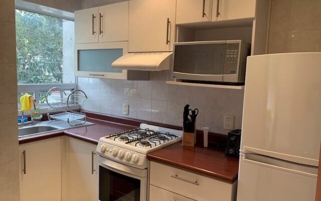 1br Clean & Big Apartment @Polanco