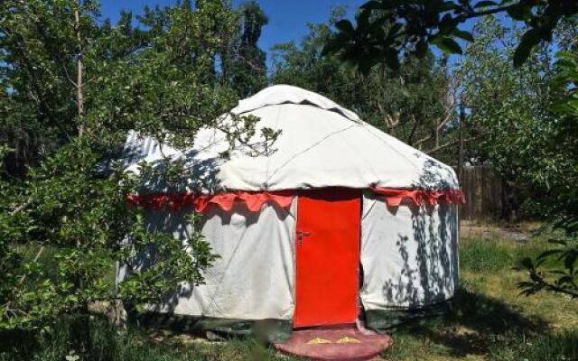 Turkestan Yurt Camp