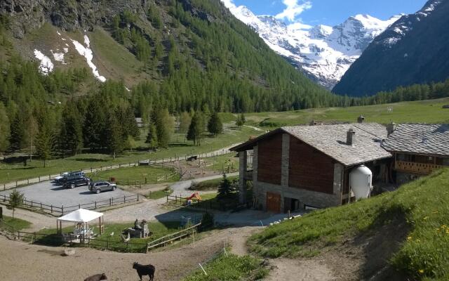 Agriturismo La Ferme du Grand Paradis