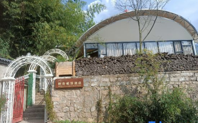Song Wild Luxury Tent Homestay