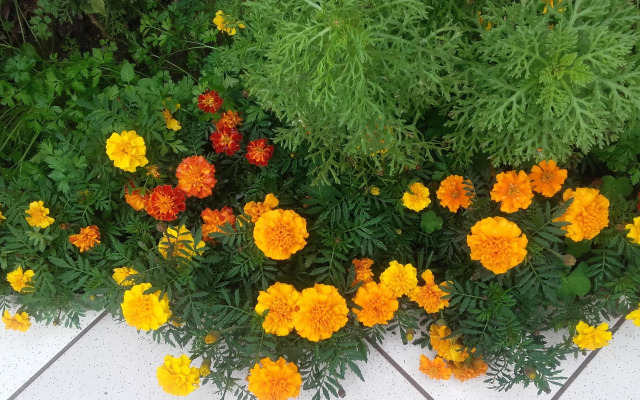 Pousada Aconchego Recanto do Mar