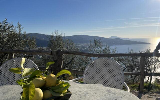 Bed and Breakfast Elisabeth