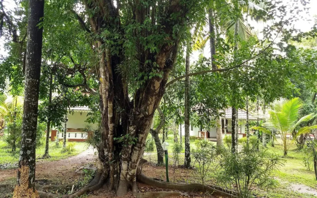 Palmgrove Lake Resort