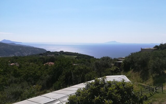 Agriturismo Castanito