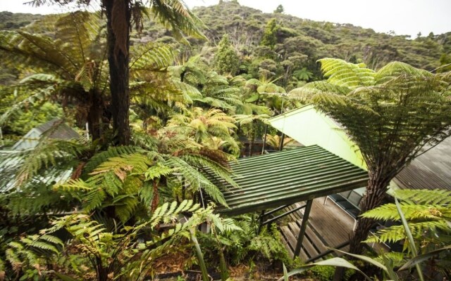 The Institute of Awesome at Karioi Lodge