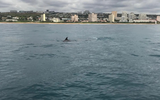 Umhlanga Beach Front 4 Sleeper