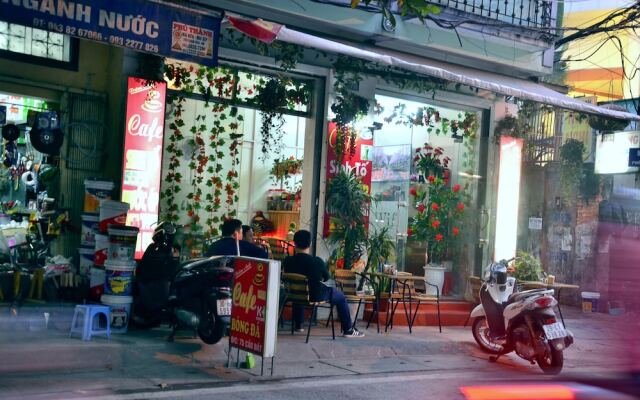 Bee House near Hanoi Opera House