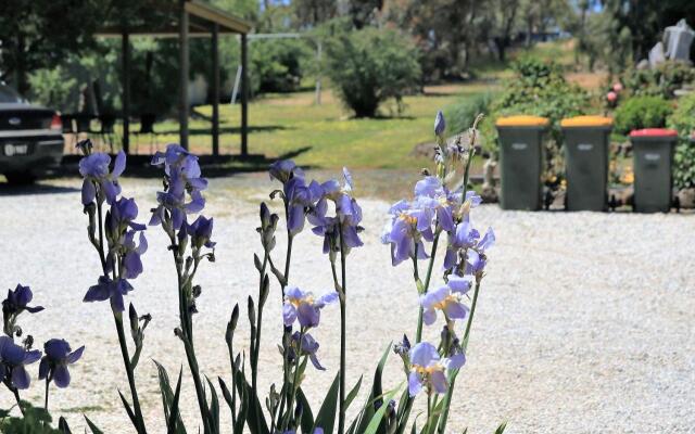 Wattle Grove Motel Maryborough