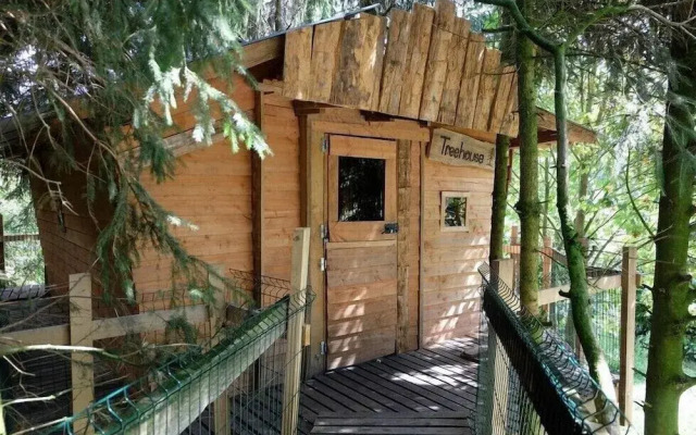 Cabane dans les Arbres - Tree House