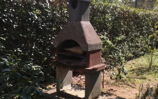 Old Town in the green: Federico's apartment.