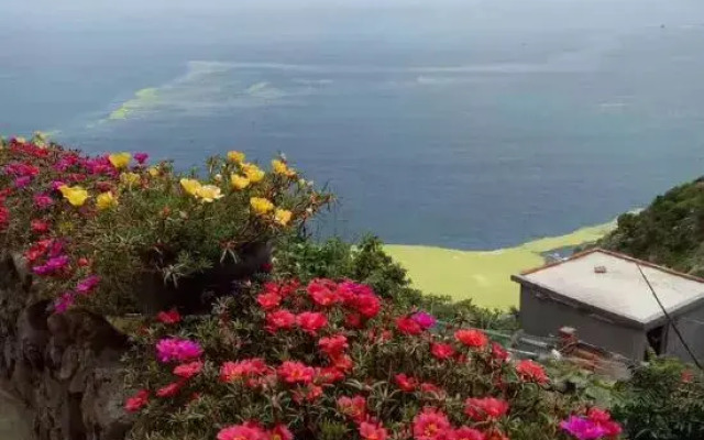 Qingdao Lingshan Island Chunshe Homestay