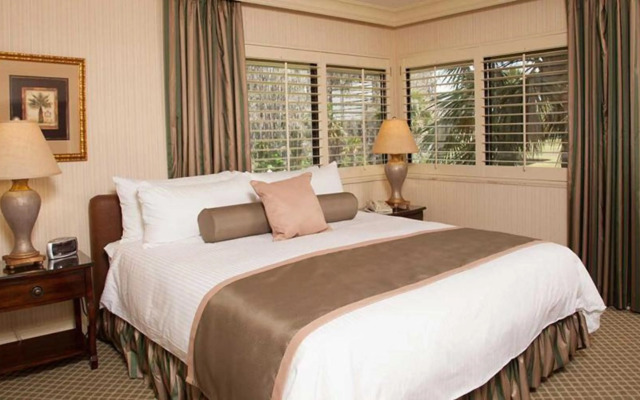 Saddlebrook Golf Resort & Spa Tampa North - Wesley Chapel