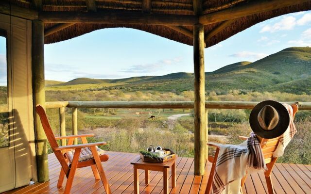 Garden Route Safari Camp