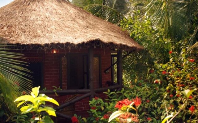 Sunderban Tiger View Point