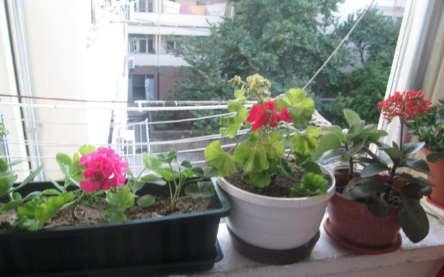 Guest House Marija (Adults Only)